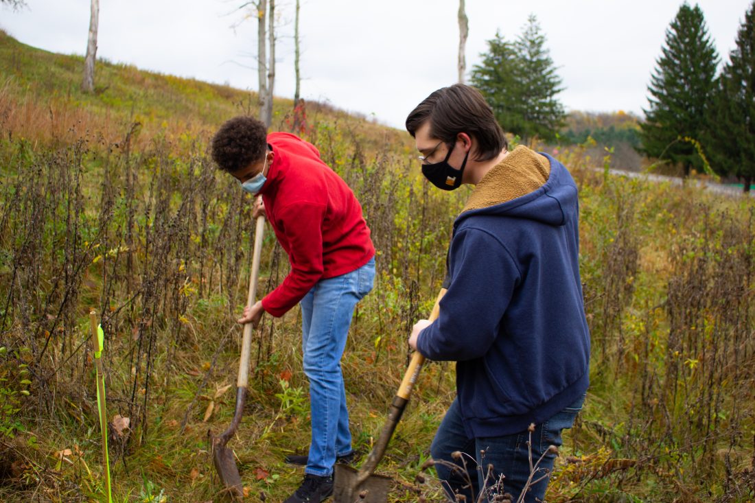 Fall tree planting effort beautifies WLU campus News